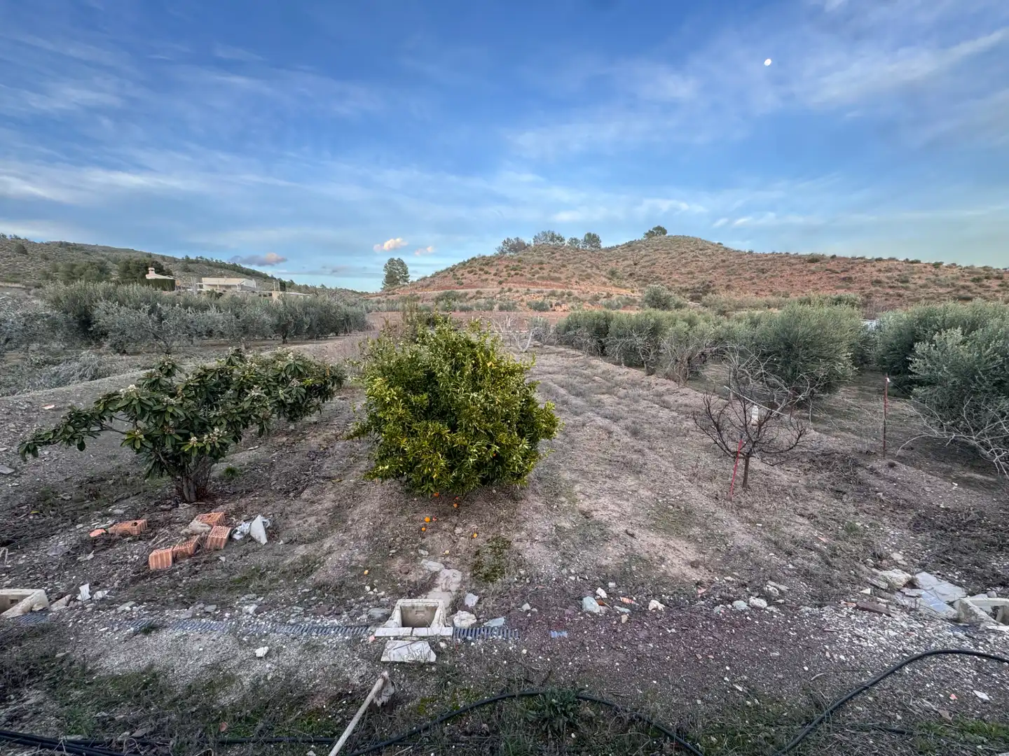 Chalet con terraza en venta en Cehegín, imagen 28