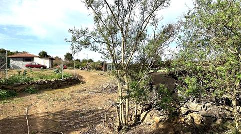 Foto 2 de Finca rústica en venda a El Tanque, Santa Cruz de Tenerife