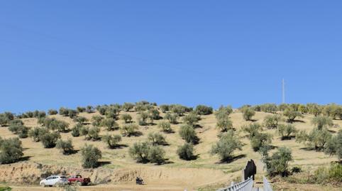 Photo 2 of Land for sale in Plaza Luz, 2, La Paz, Granada