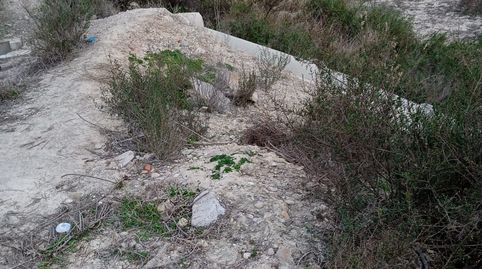FINCA RUSTICA CON CASA PARA REFORMAR EN VENTA, imatge 2