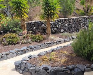 Garden of Country house for sale in  Santa Cruz de Tenerife Capital  with Terrace, Swimming Pool and Furnished