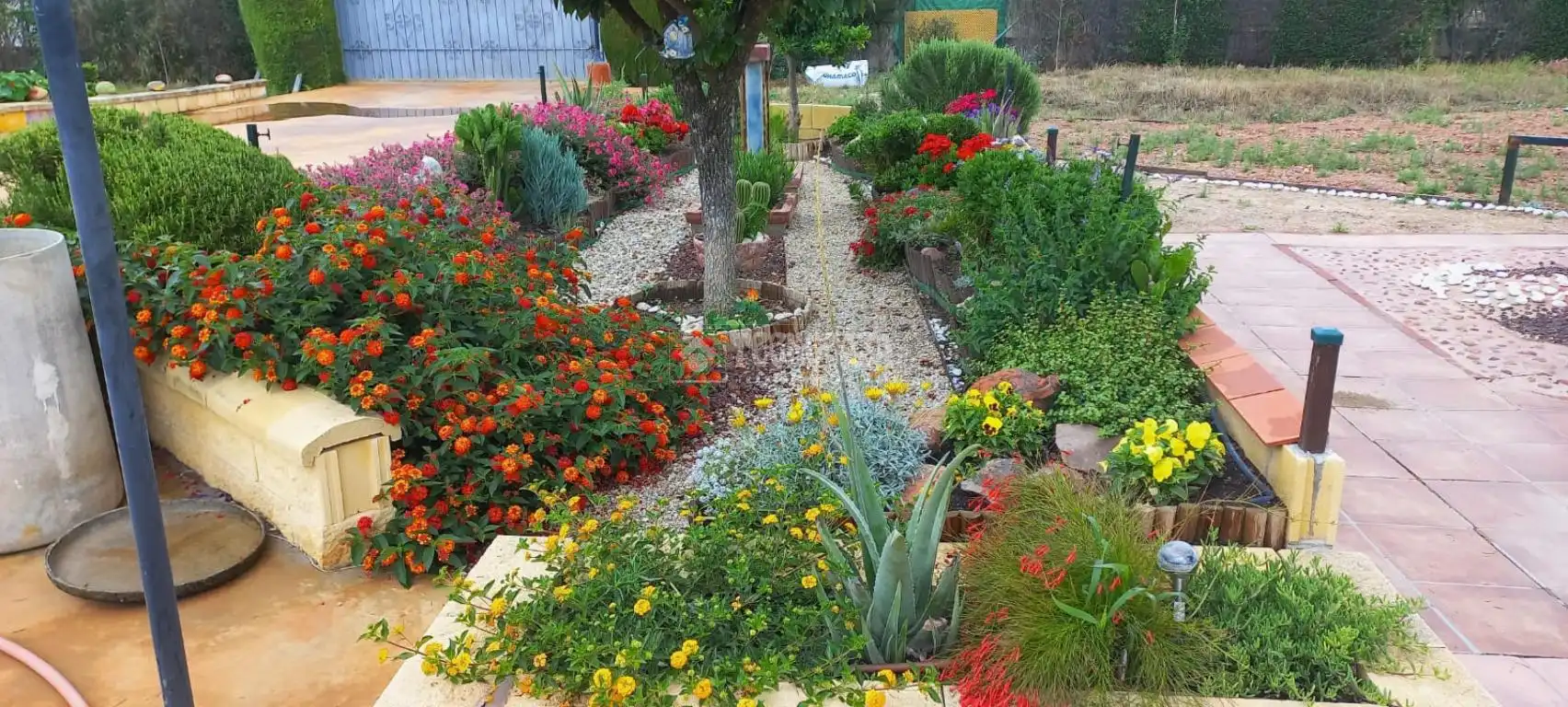 Finca rústica en venta en Camino del Asno, Pedro Abad