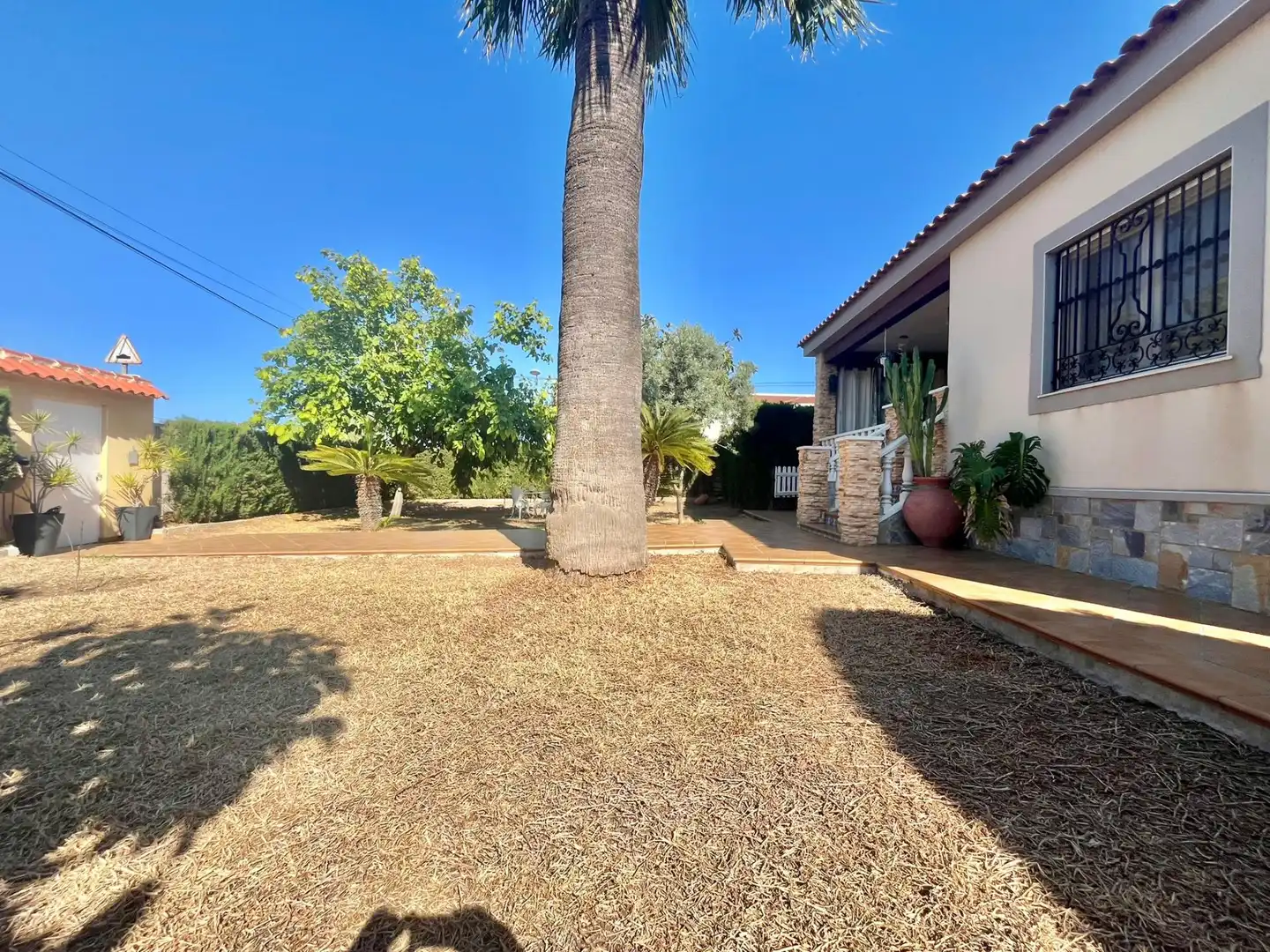 Vista exterior de Casa o xalet en venda en Torrevieja amb Aire condicionat, Calefacció i Jardí privat