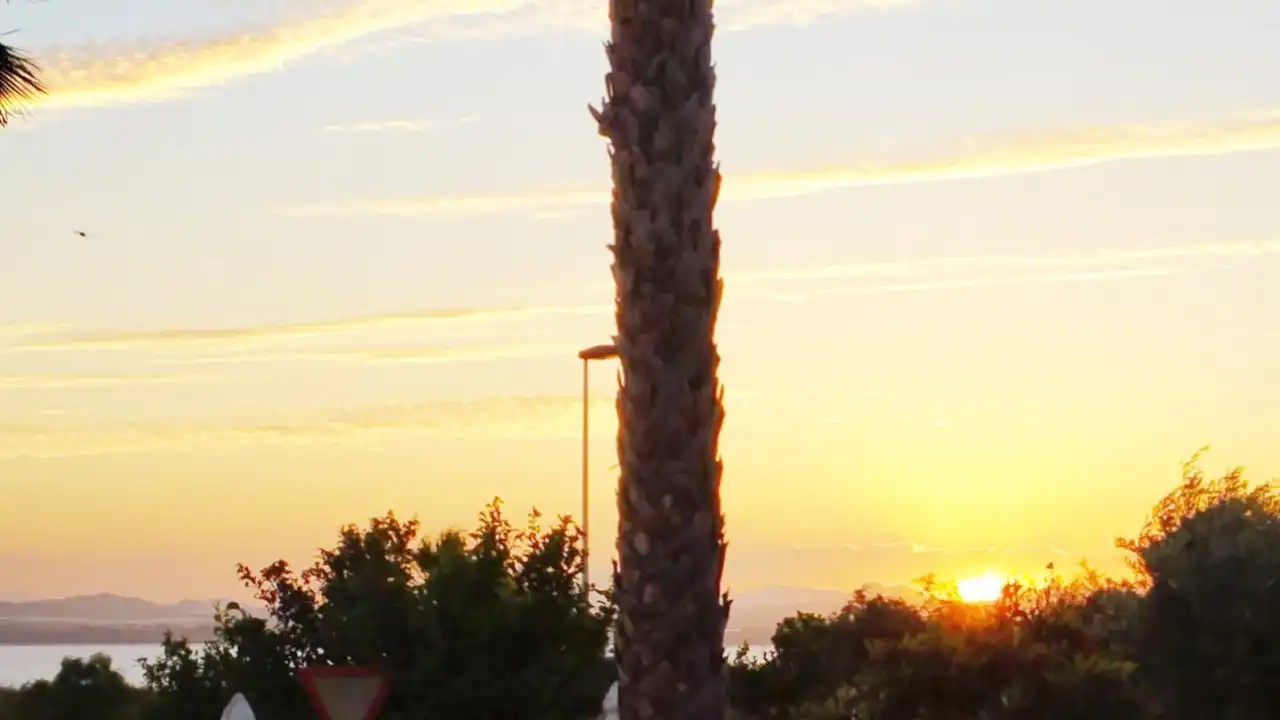 Vista exterior de Casa o xalet en venda en Torrevieja amb Piscina