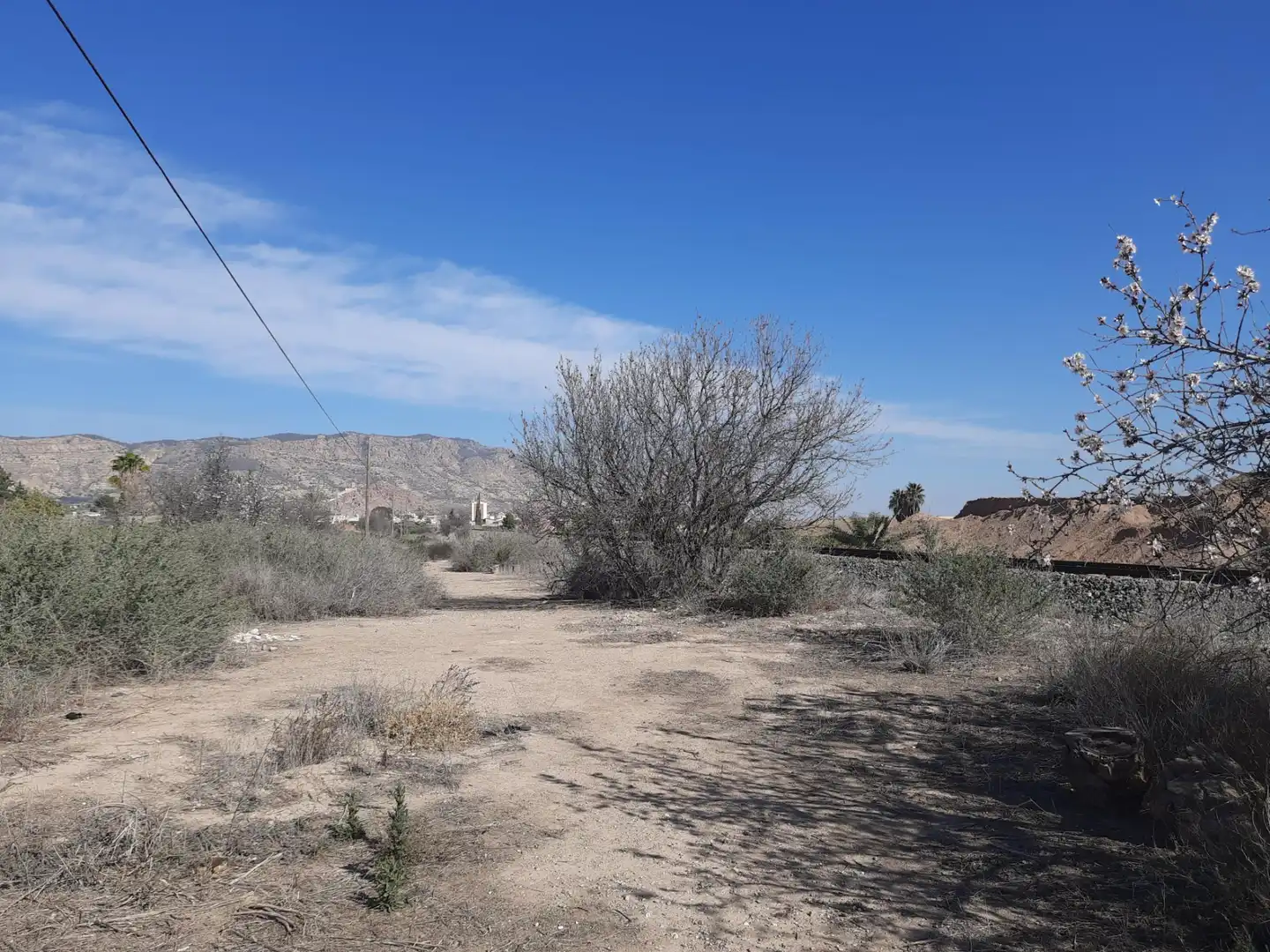 Terreni e lotti in vendita a Alhama de Murcia ciudad, imagen 2