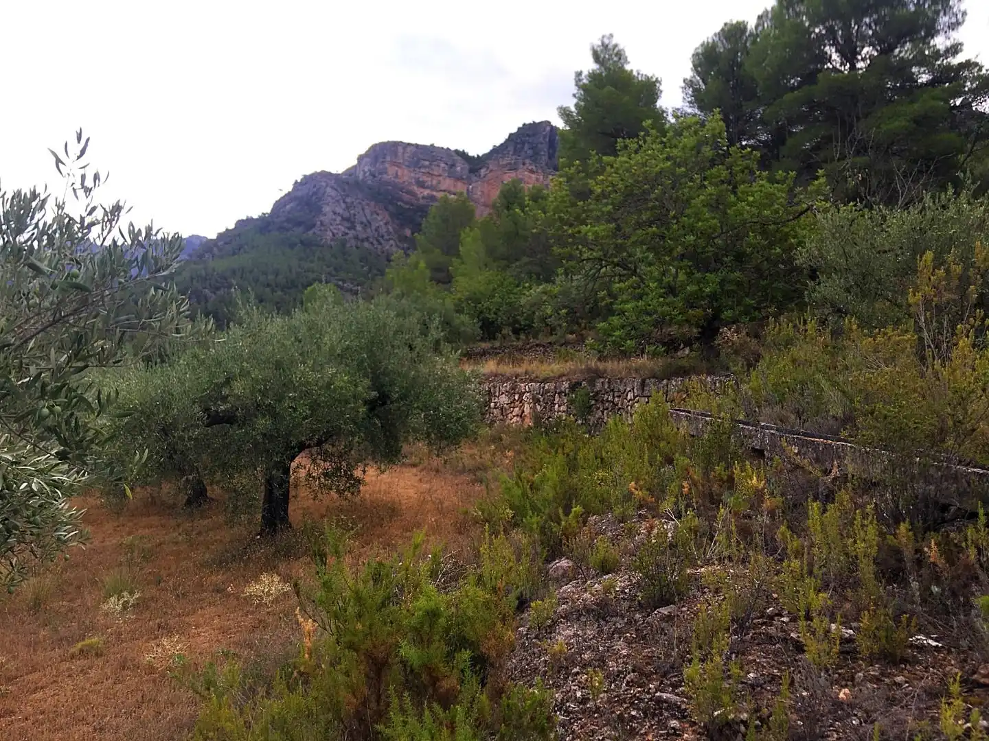 Finca rústica en venda en Benifallet