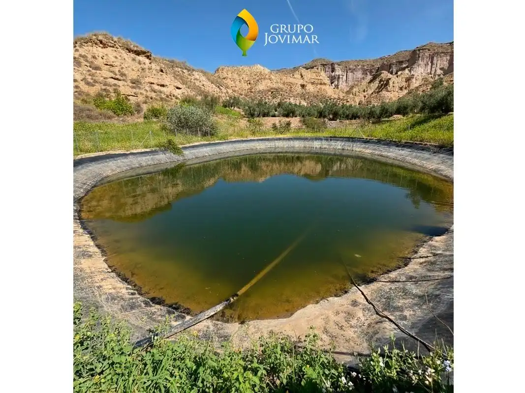 Piscina de Terreno en venta en Gorafe