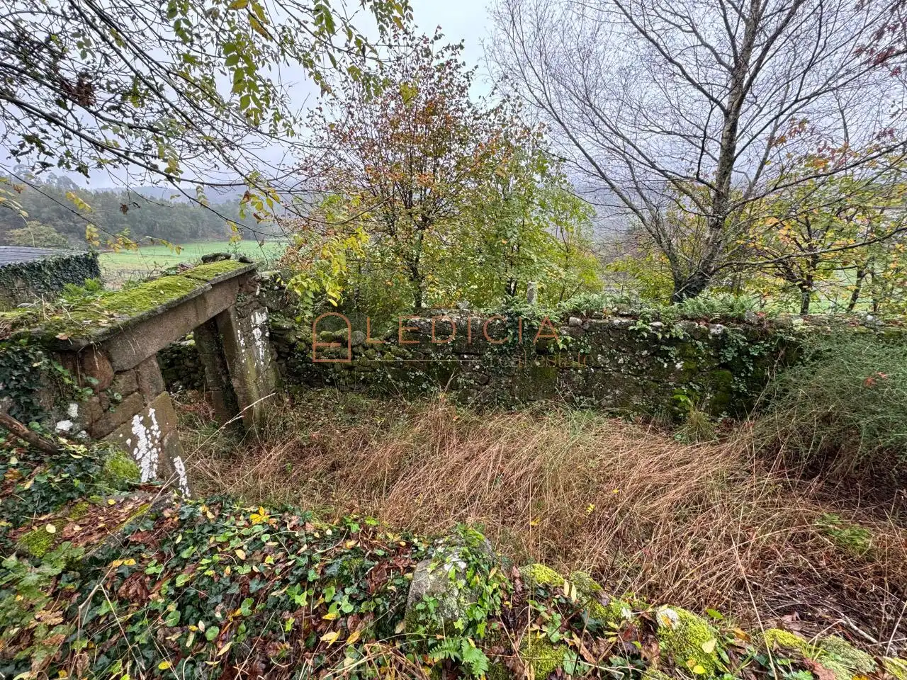 Rural land for sale in San Martiño de Verducido, imagen 15