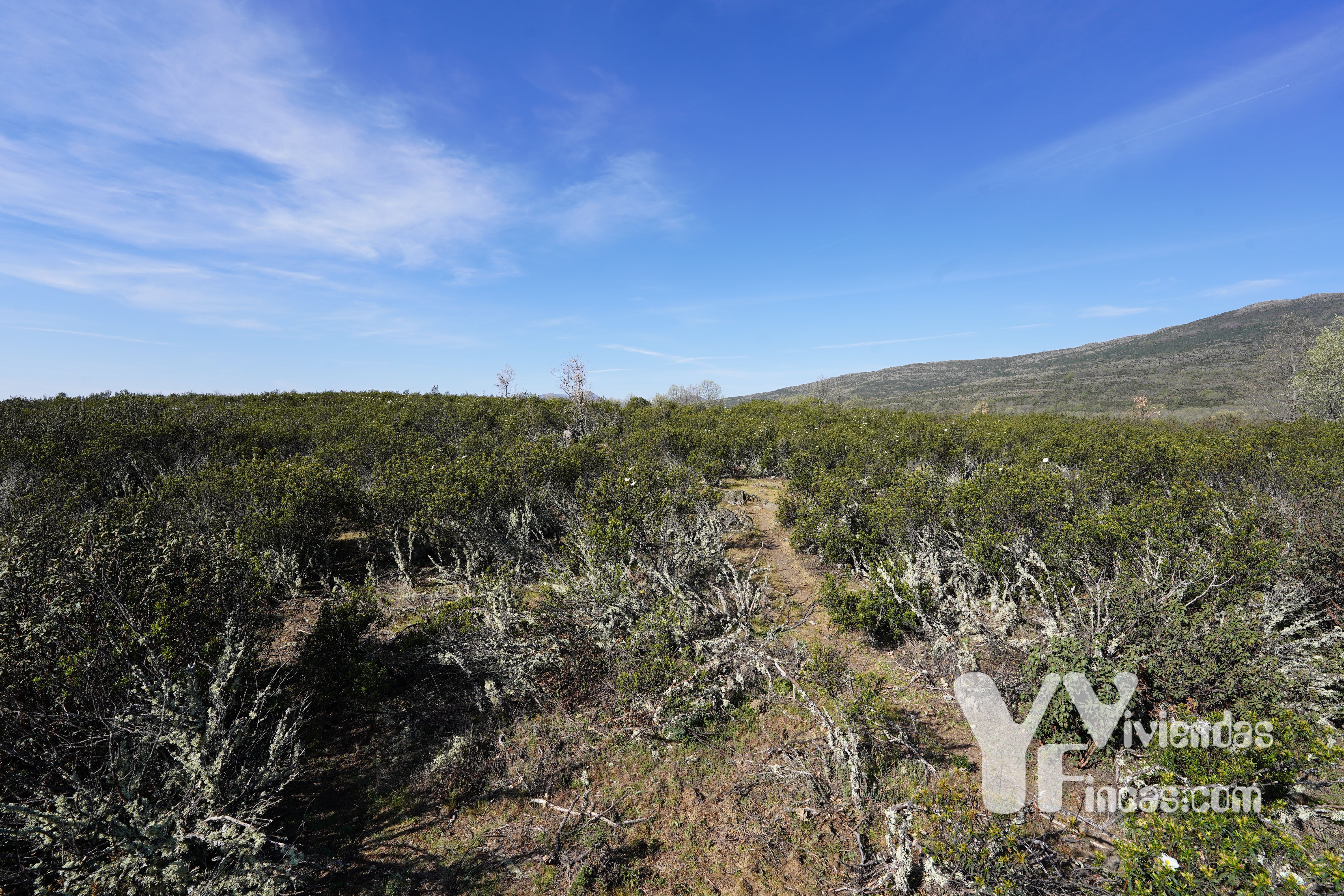 Land for sale in Calle Cortes, 1, Campillo de Ranas