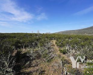 Land for sale in Calle Cortes, 1, Campillo de Ranas