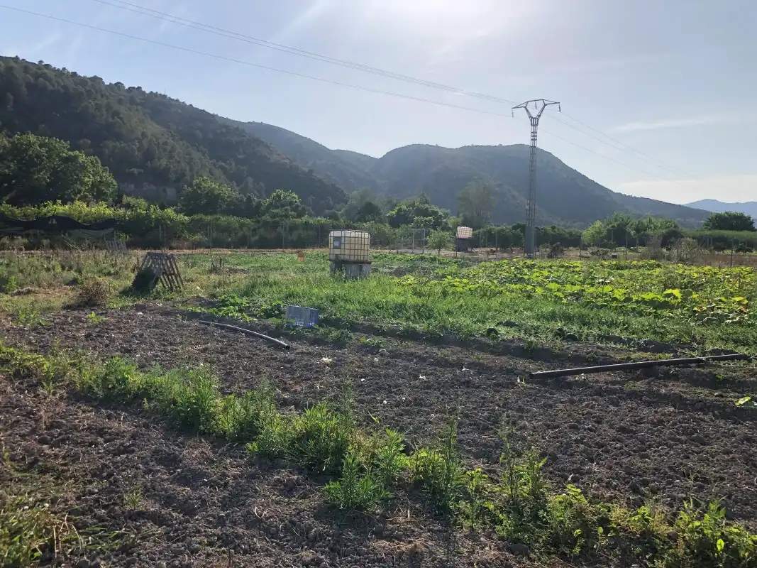 Terreno en venta en Gandia
