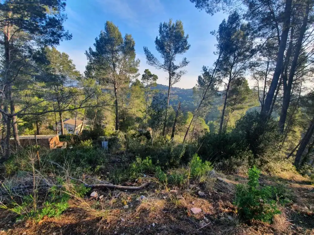 Terreny rústic en venda a SANTA MARIA DE LAVALL, imagen 3