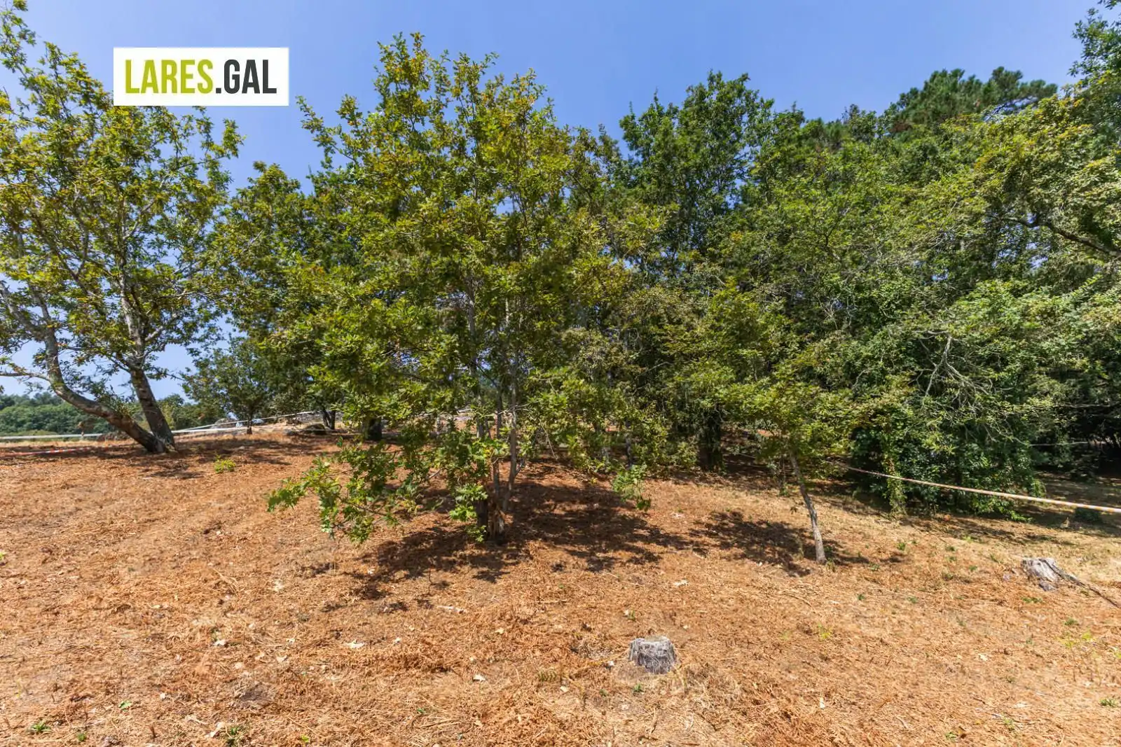 Residential land for sale in Rúa Estrada Herbello a Magdalena, imagen 18