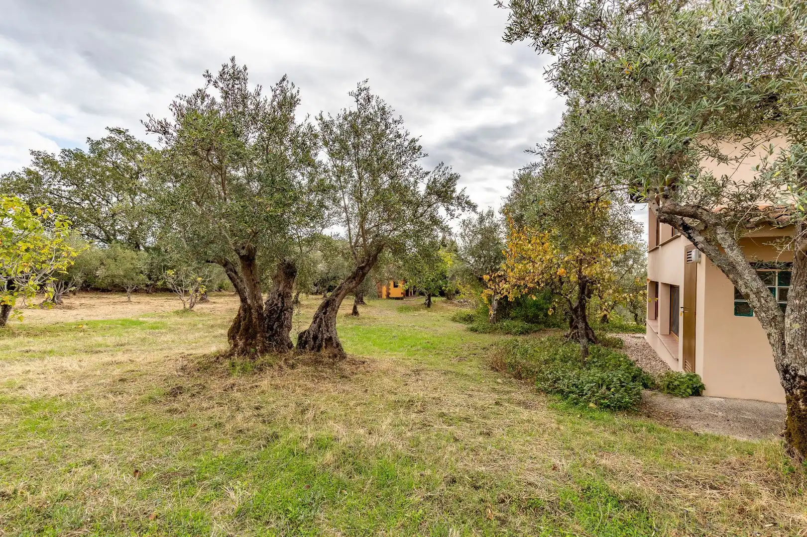 Terreni e lotti in vendita a Villanueva de la Vera, imagen 27