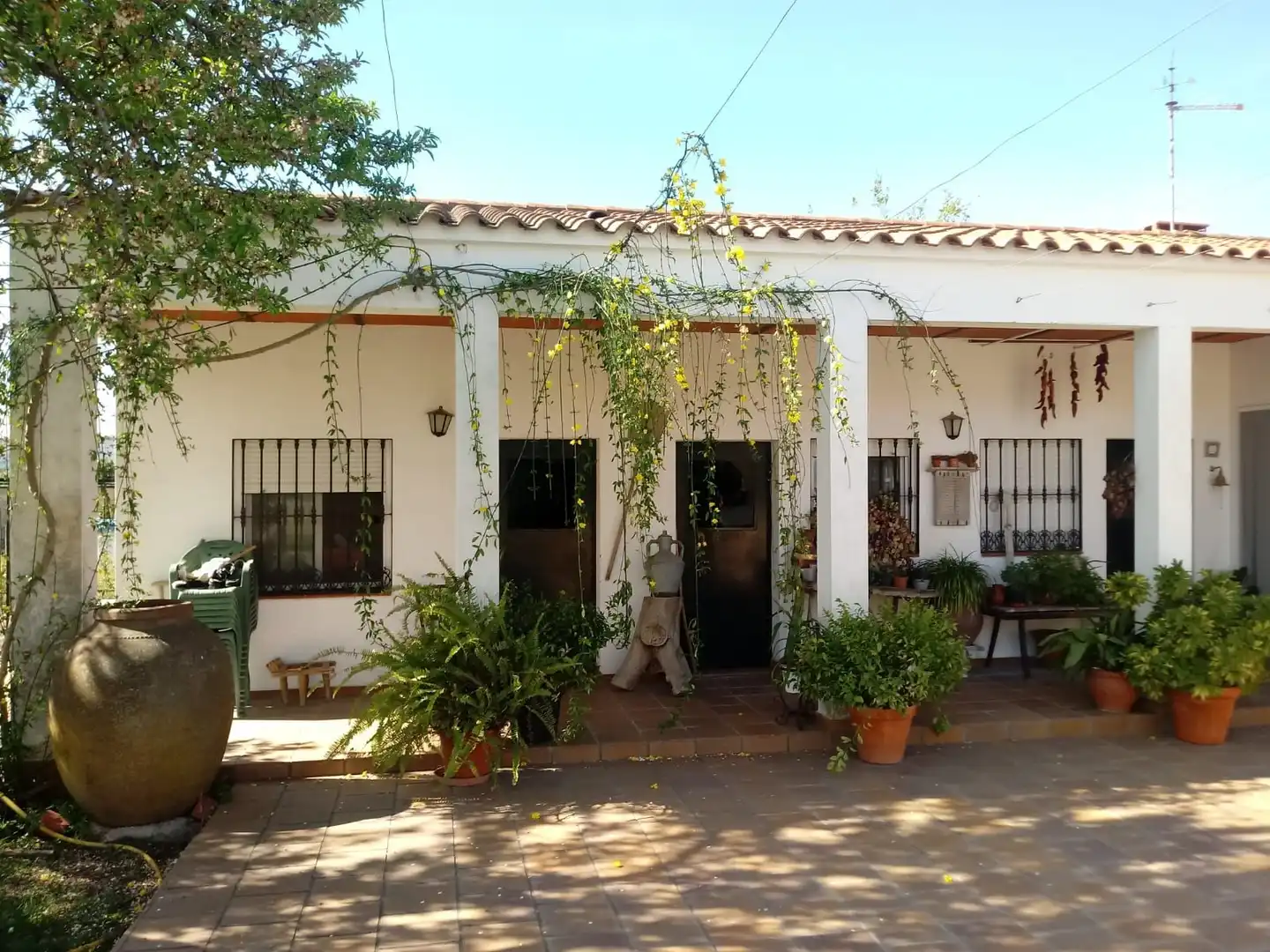 Xalet amb jardí en venda a Lugar Diseminado 5061, imagen 7
