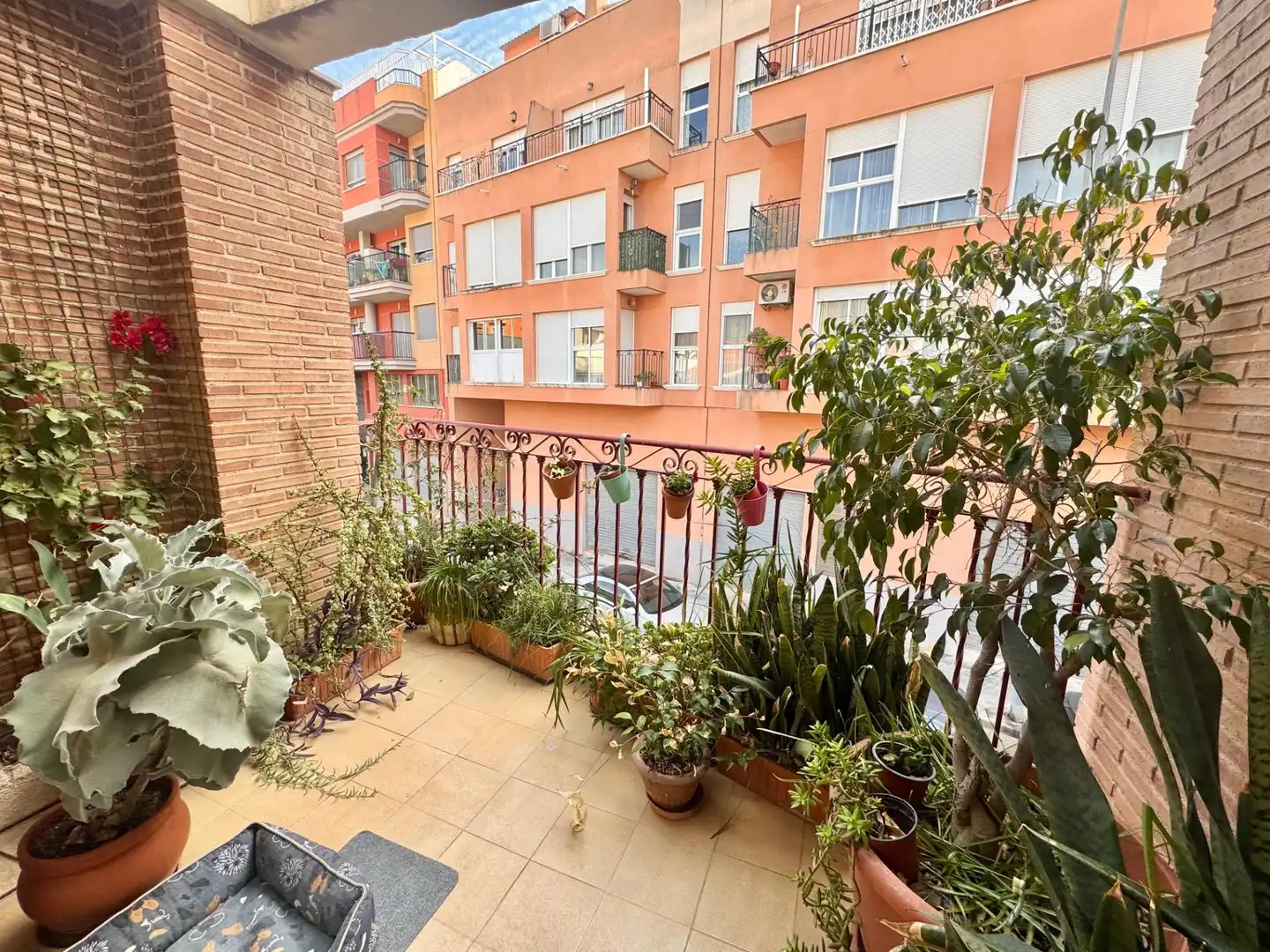 Terrassa de Casa o xalet en venda en Orihuela amb Aire condicionat, Calefacció i Jardí privat
