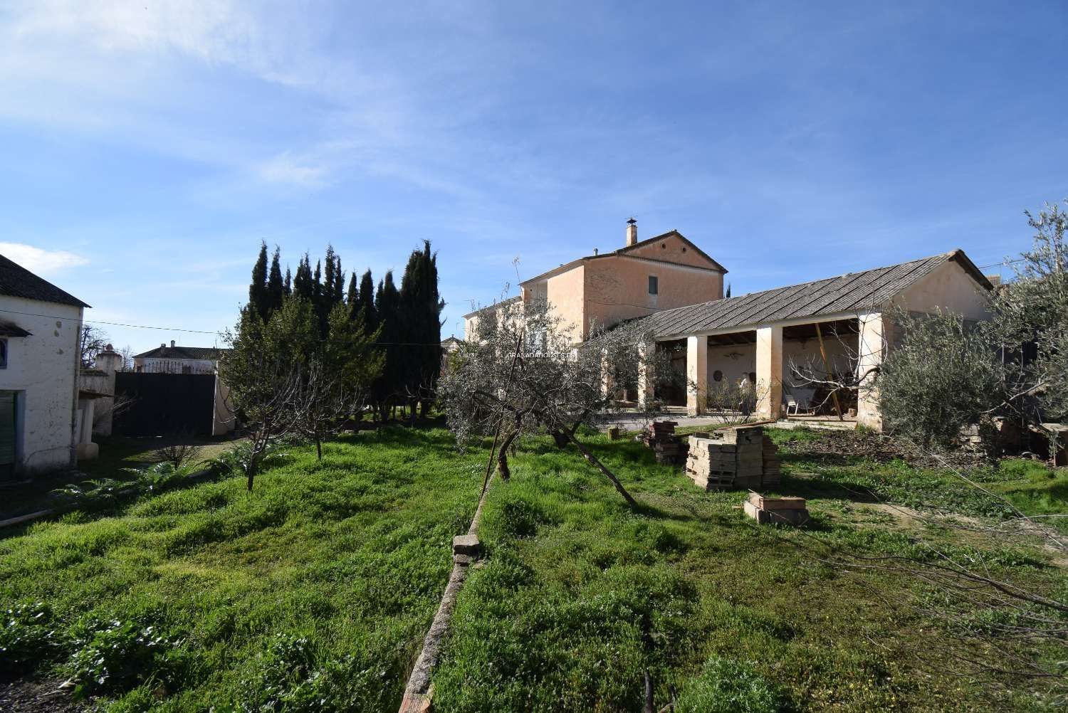 Jardí de Casa o xalet en venda en Íllora amb Traster i Piscina