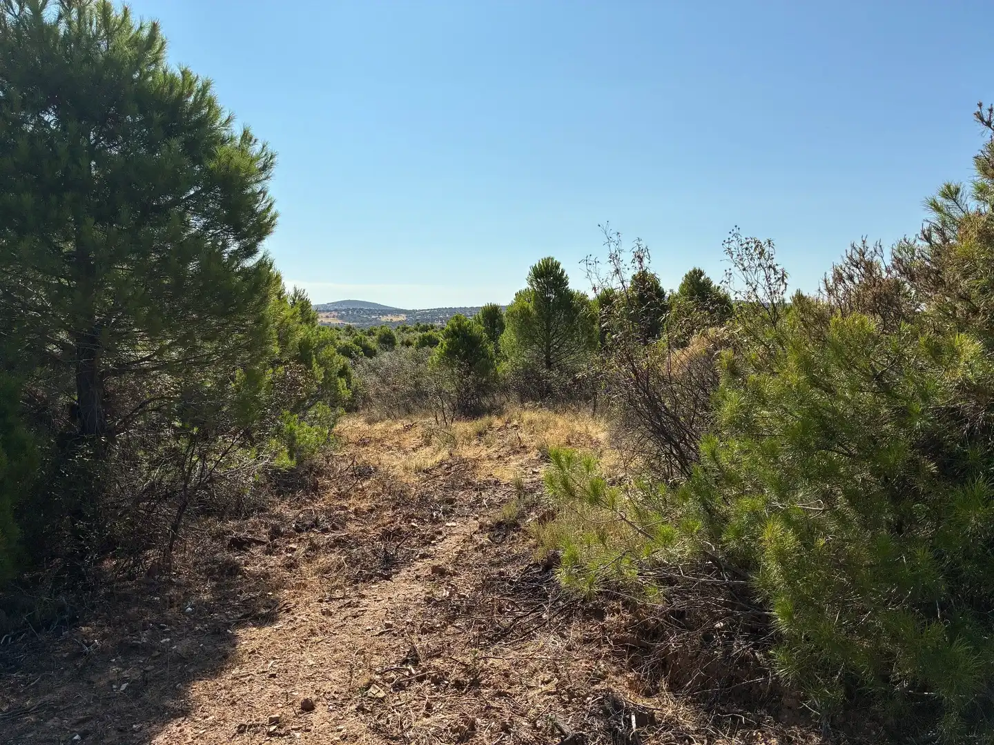 Rural land for sale in Puerto de San Vicente, imagen 9