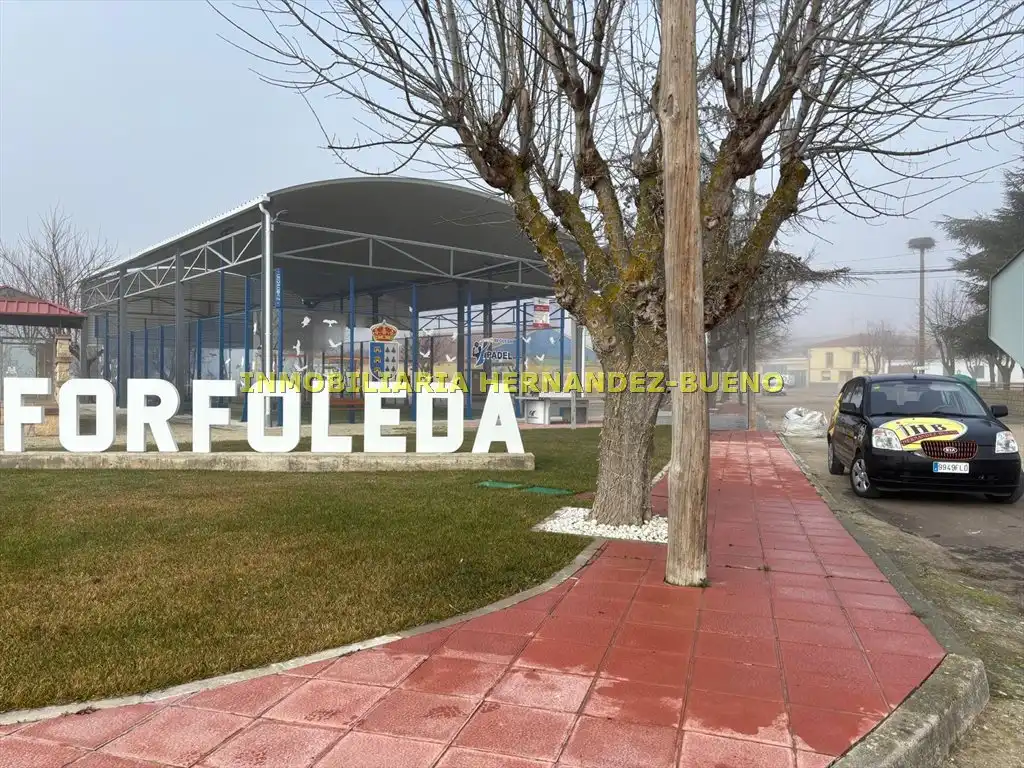 Vista exterior de Casa o chalet en venta en Forfoleda con Calefacción y Terraza