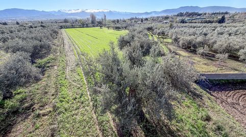 Photo 4 of Land for sale in Camino del Cerro, 189, Villa de Otura, Granada