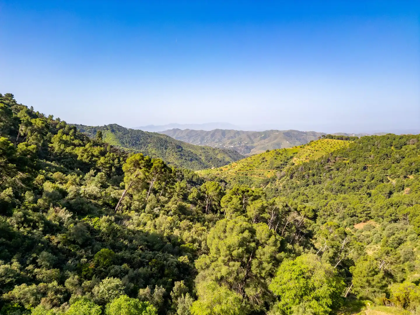 Villa mit Garten zum Verkauf in Montes de Malaga, imagen 54