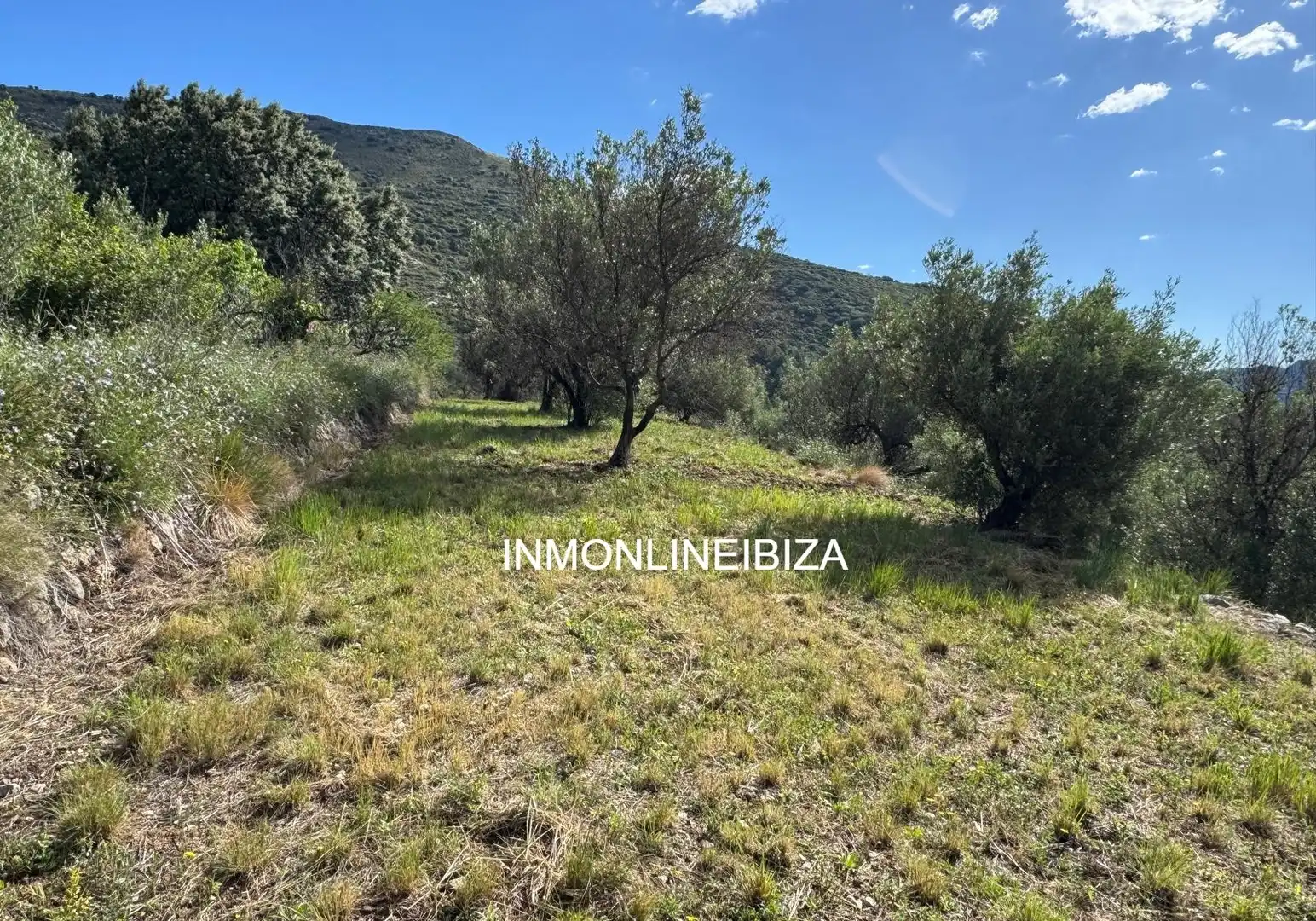 Land for sale in Tàrbena