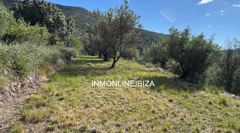 Foto 2 de Terreno en venta en Parelles, Tàrbena, Alicante