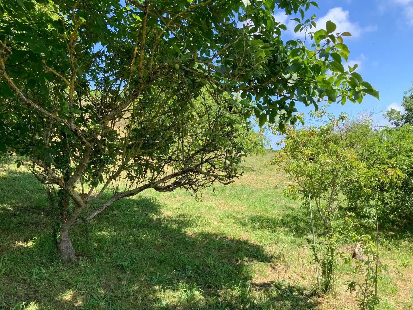 Terreni e lotti in vendita a Aviadoiro, imagen 4