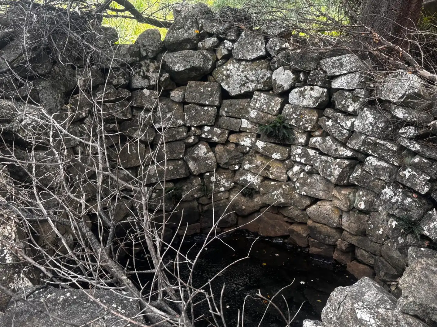 Terrenys i solars en venda a Grazalema, imagen 7