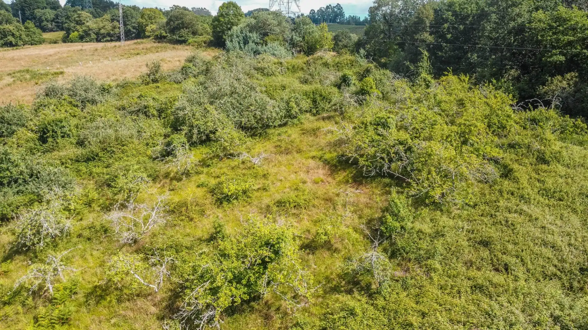 Rural land for sale in del pareo, imagen 8