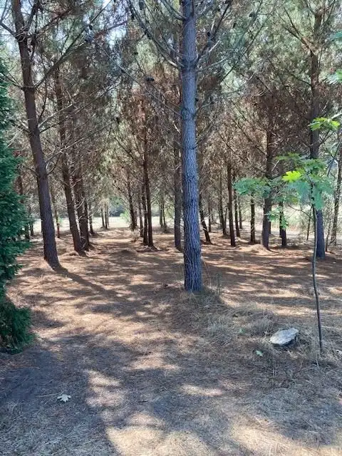 Casa o xalet en venda en Carballo amb Terrassa i Forn