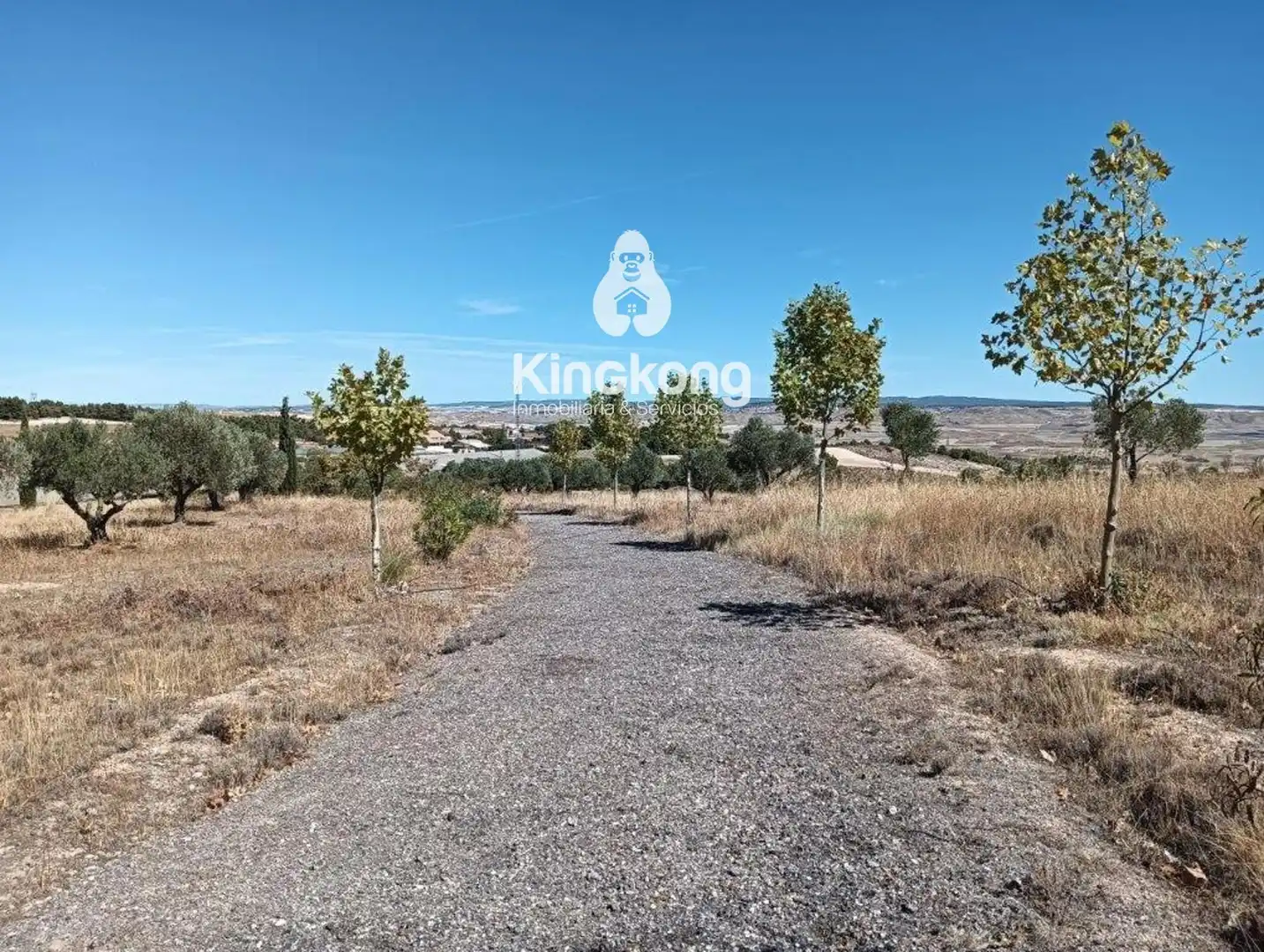 Residential for sale in Belinchón