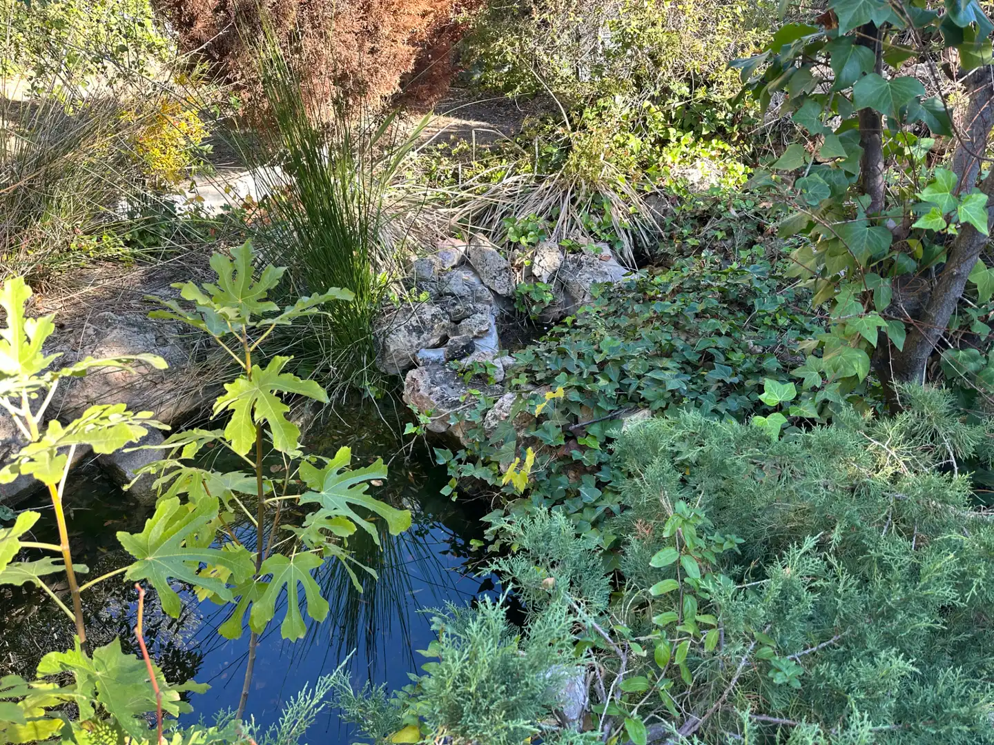 Villa con piscina in vendita a Paraje la Virgen 20, imagen 9