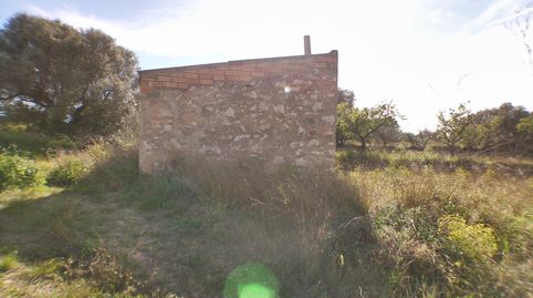 Zona rural tranquila en el Pinell de Brai.