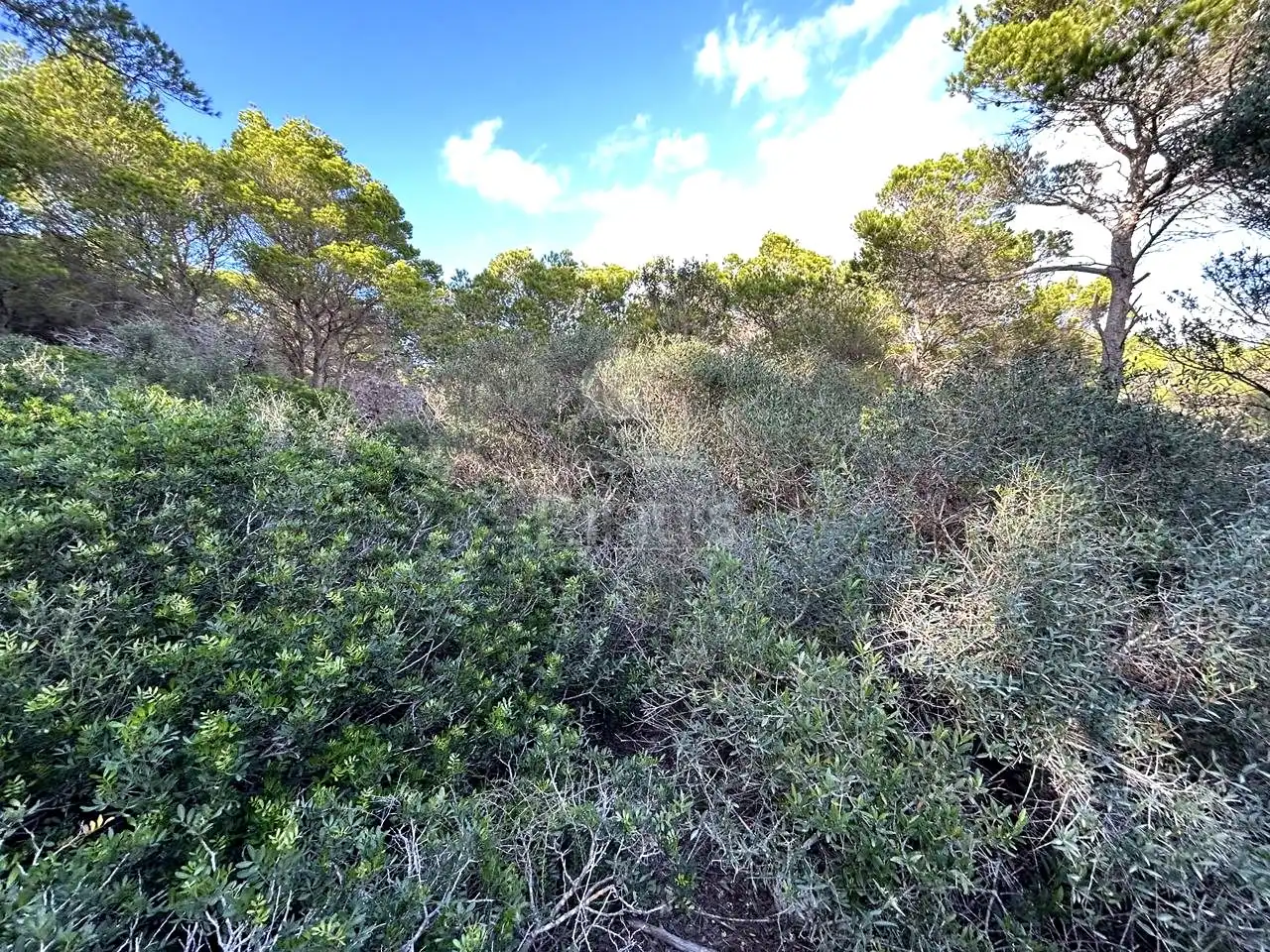 Rural land for sale in Cala Morell, imagen 3