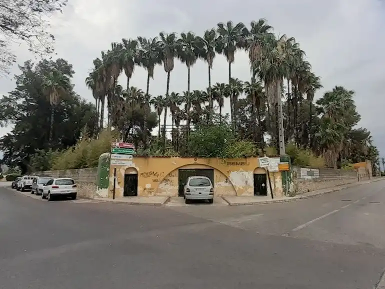 Exterior view of Industrial land for sale in Carcaixent