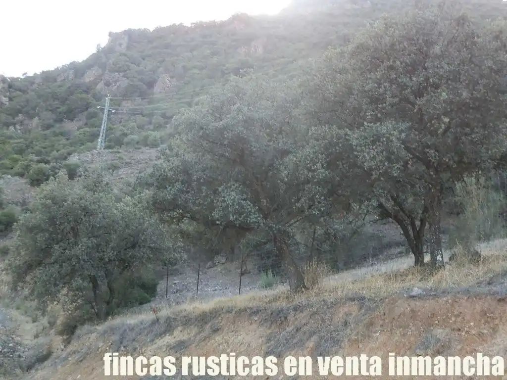 Rustikales Grundstück zum Verkauf in Avenida Ciudad Real Pol N 7, imagen 16