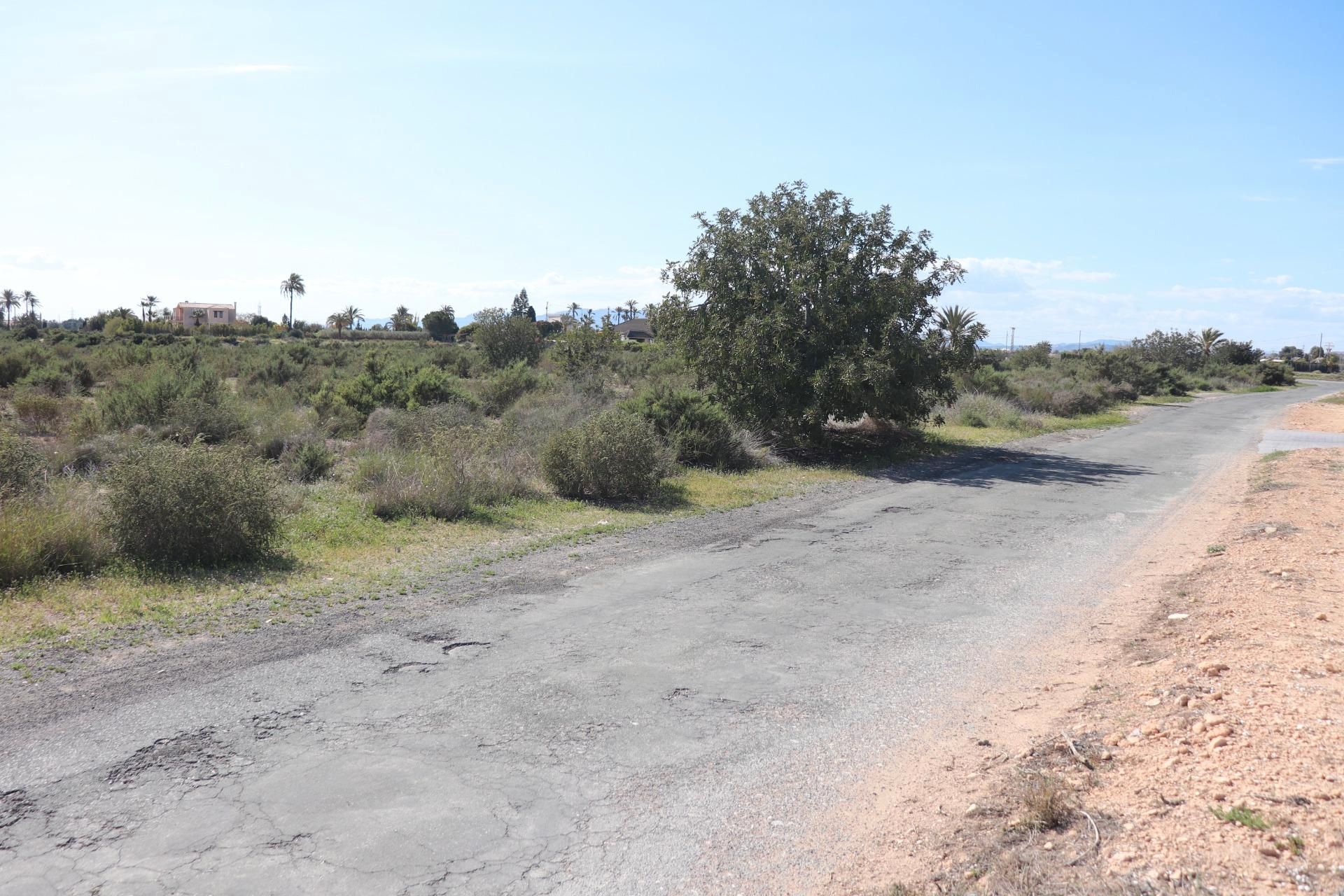 Land for sale in Elche / Elx
