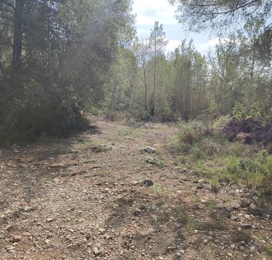 Rural land for sale in Sant Joan