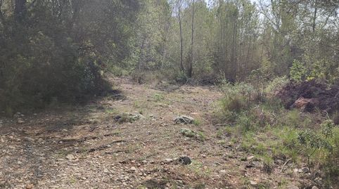 Pinar de 3048 m2 con acceso desde 2 caminos