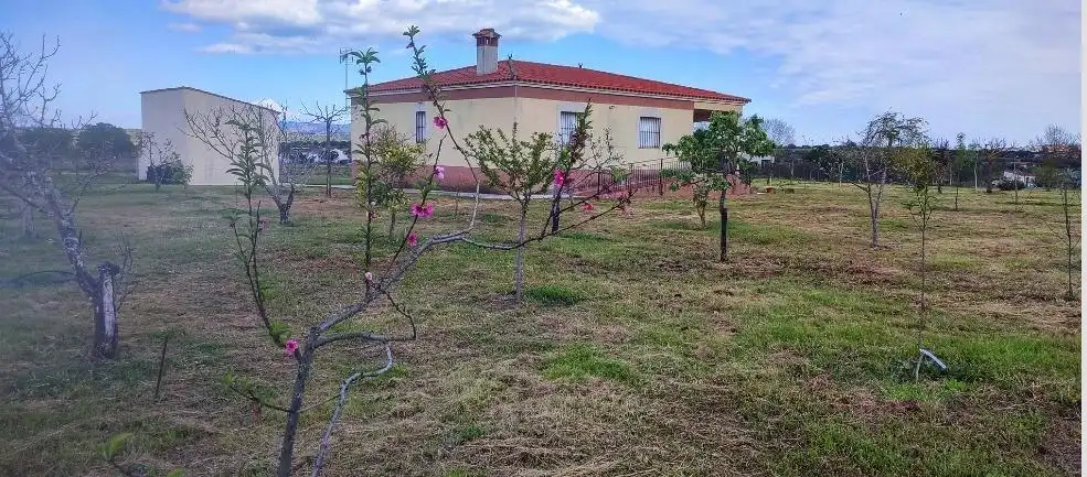 Casa o chalet en venta en Alcuéscar