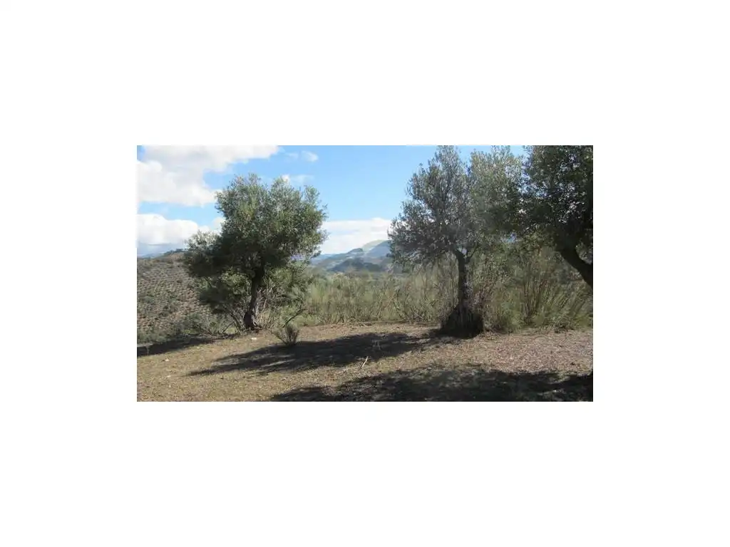 Maison à vendre à Algodonales, imagen 9