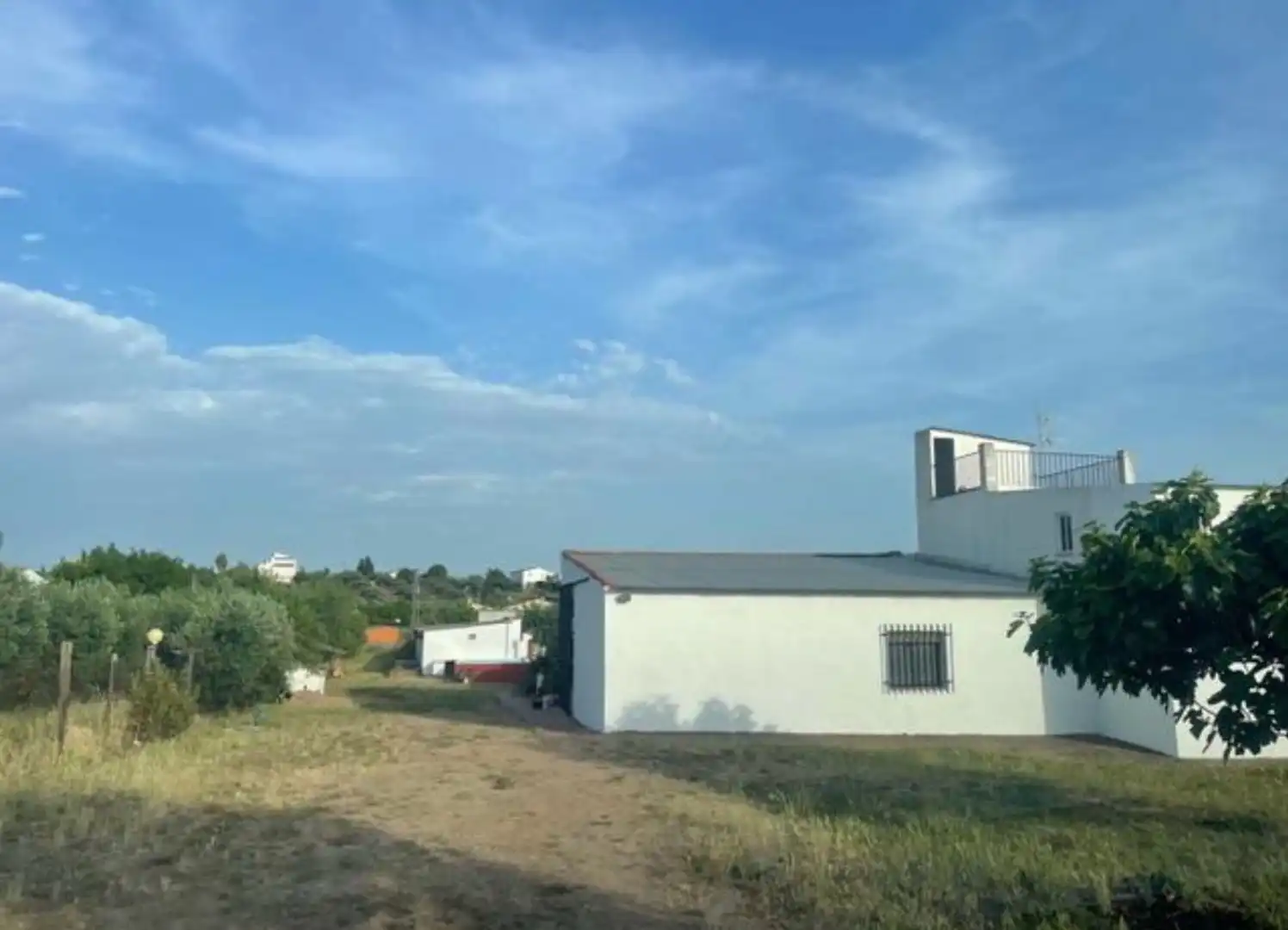Land for sale in Sur