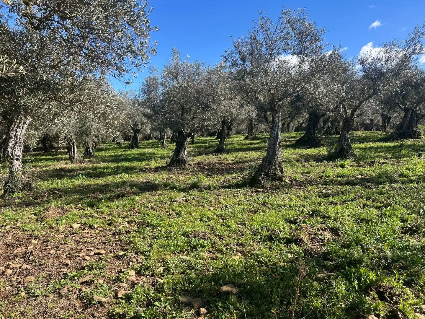 Terreni e lotti in vendita a Gata, imagen 14
