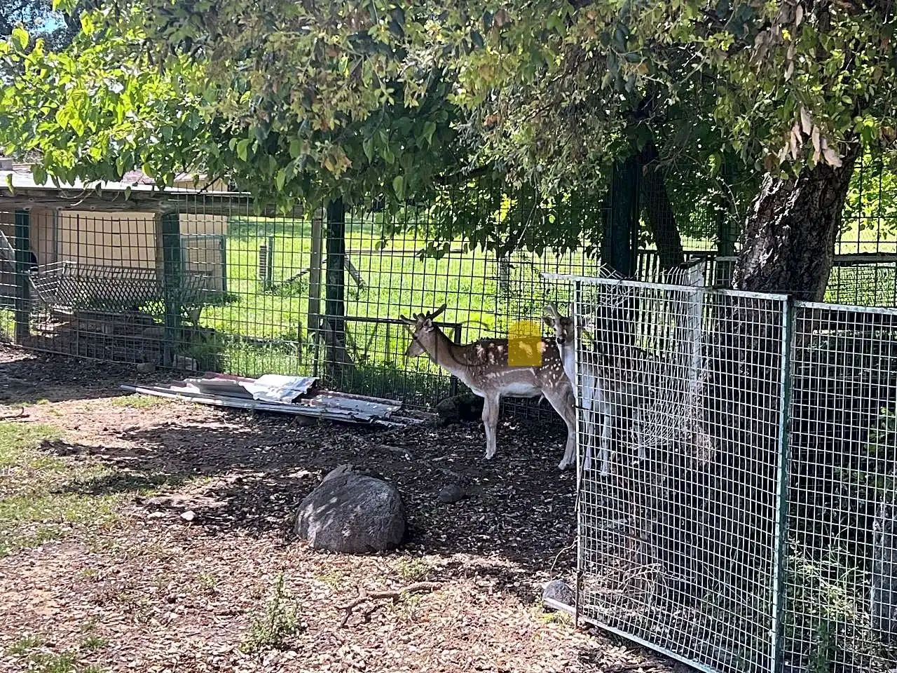 Jardín de Residencial en venta en Montseny