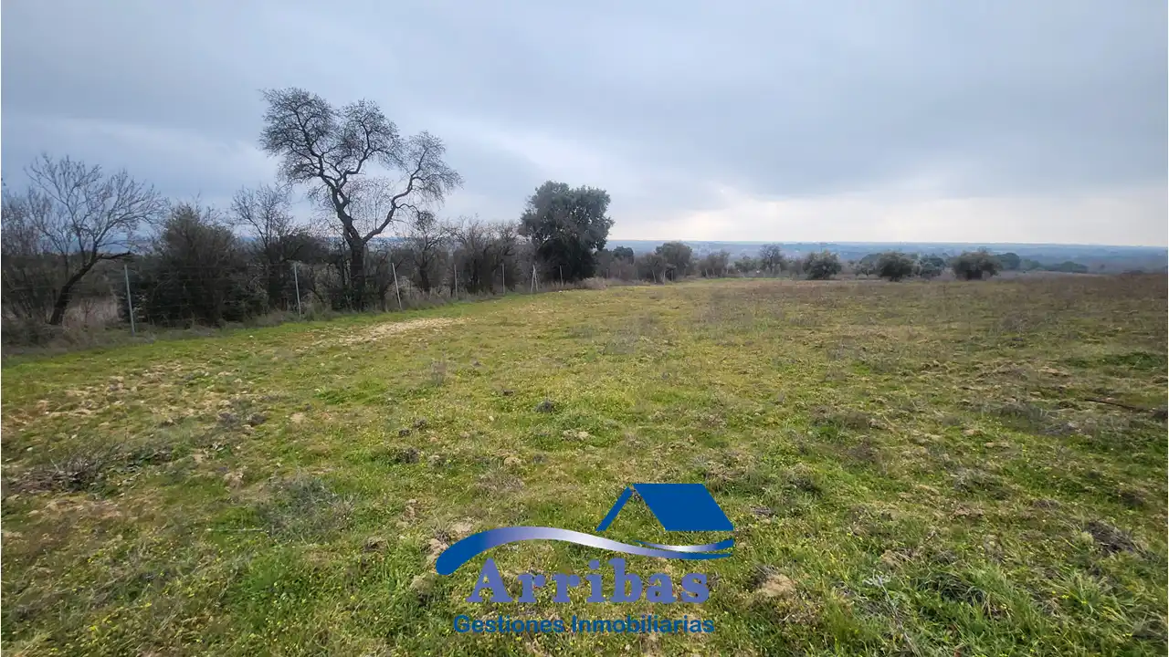 Country homes for sale in Escalona