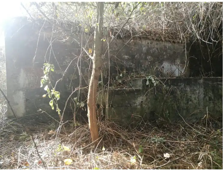 Land for sale in Puntallana