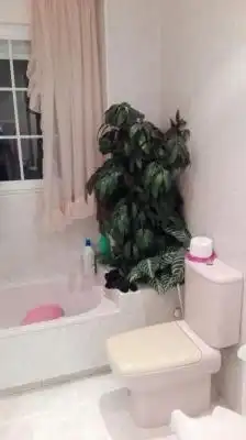 Baño de Casa o chalet en venta en Valdefresno con Calefacción, Jardín privado y Trastero