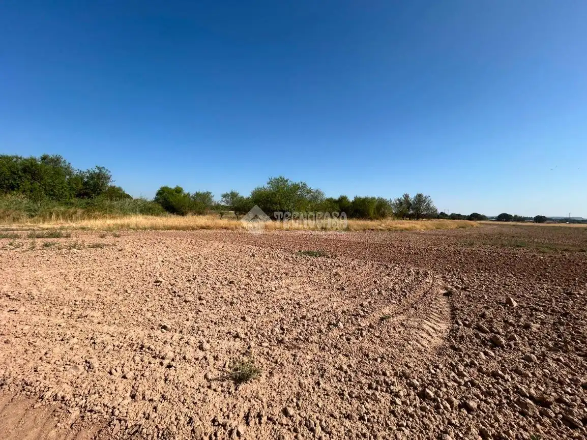Rural land for sale in Laguna de Duero, imagen 5