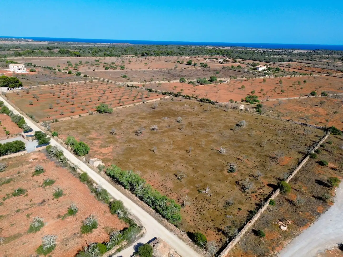 Wohnbaugrundstück zum Verkauf in Ses Salines Poble, imagen 3